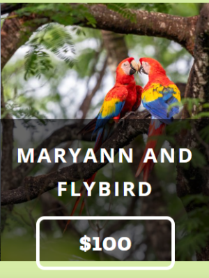 Donate to Protect Macaws - Image 3